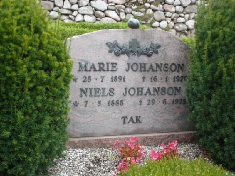 Niels Johanson.jpg